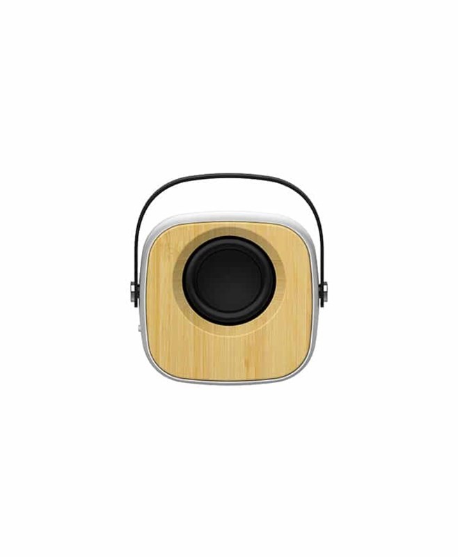 Arctic Pulse 220