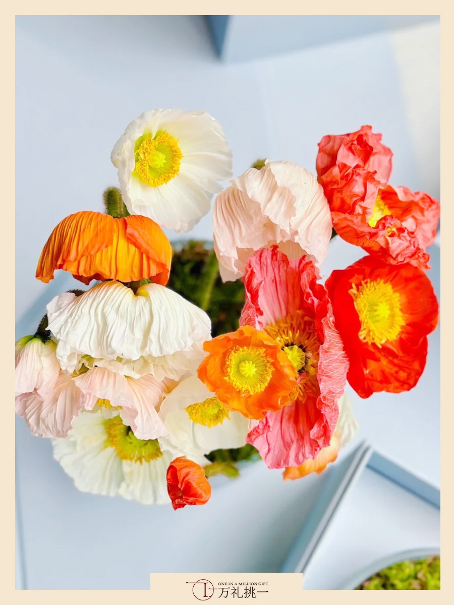 Case Study 300pcs Poppy Flower Gift for Singapore Annual Dinner